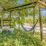 La Grange Aux Arbres - Hetre Baron (Gironde)